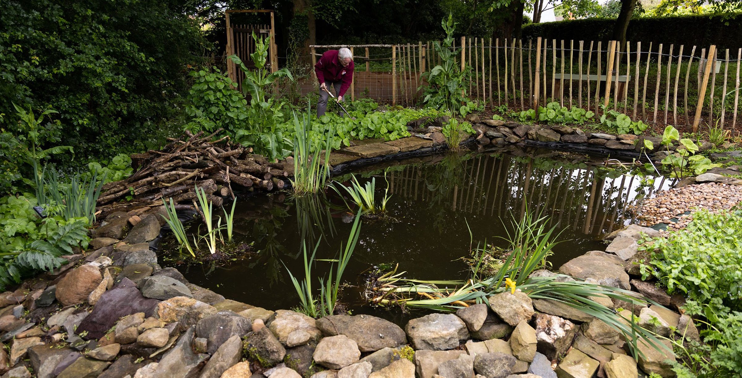 The_pond_increasing_biodiversity Aspect Ratio 785 400