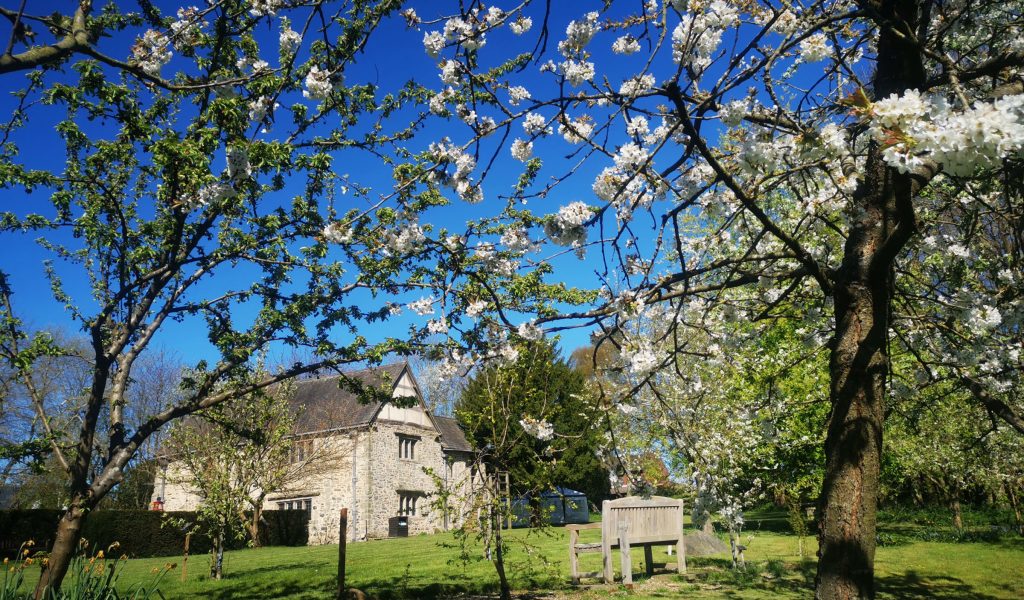 House Viewed From Orchard Spring Aspect Ratio 1024 600