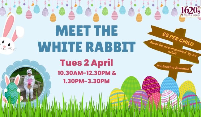 Meet The White Rabbit 23 1920 X 1080 Px 1 Aspect Ratio 650 380