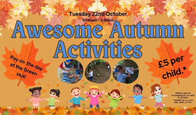 Autumn Activity Day 1920 X 1080 Px 2 Aspect Ratio 650 380
