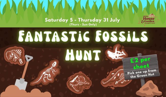 Fantastic Fossils Hunt 1920 X 1080 Px 1 Aspect Ratio 650 380