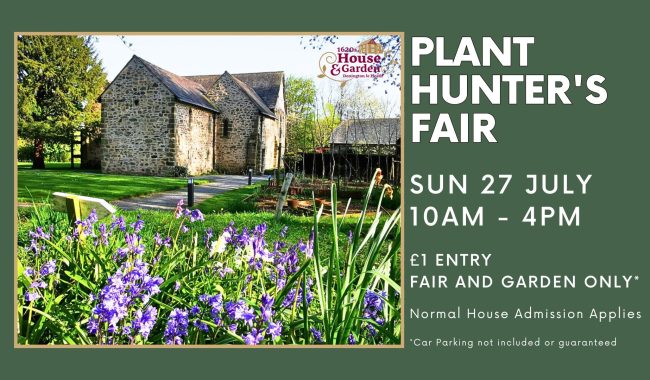 Plant Fairs 2025 1920 X 1080 Px Aspect Ratio 650 380