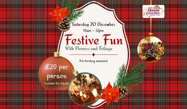 Festive Fun 1920 X 1080 Px Aspect Ratio 650 380