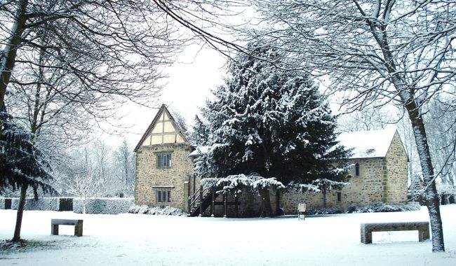 DSC03996 Copy Aspect Ratio 650 380