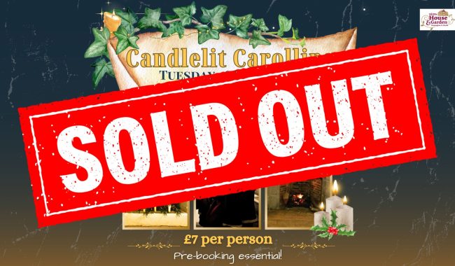 Candlelit Carolling 2025 1920 X 1080 Px 1 Aspect Ratio 650 380