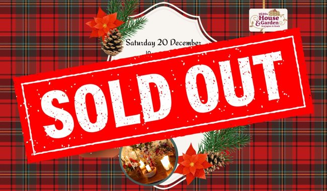 Festive Fun 1920 X 1080 Px 1 Aspect Ratio 650 380