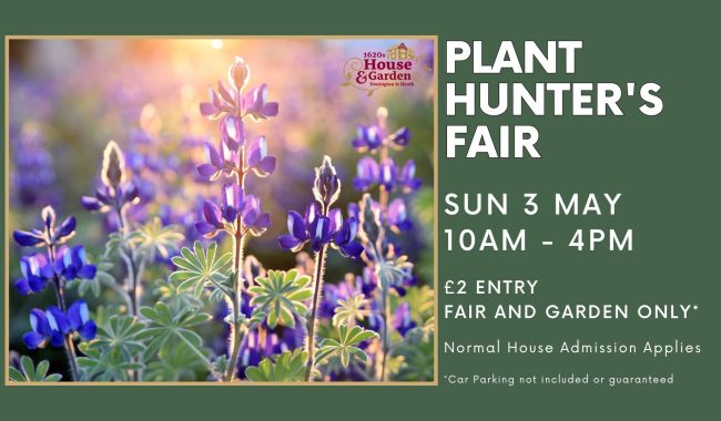 Plant Fair May 2026 1920 X 1080 Px Aspect Ratio 650 380