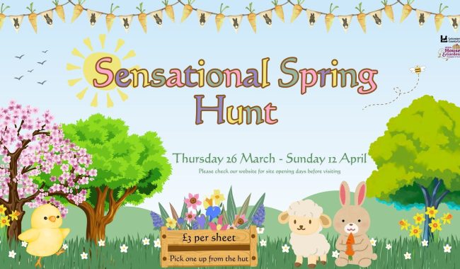 Spring Animals Hunt 1920 X 1080 Px Aspect Ratio 650 380