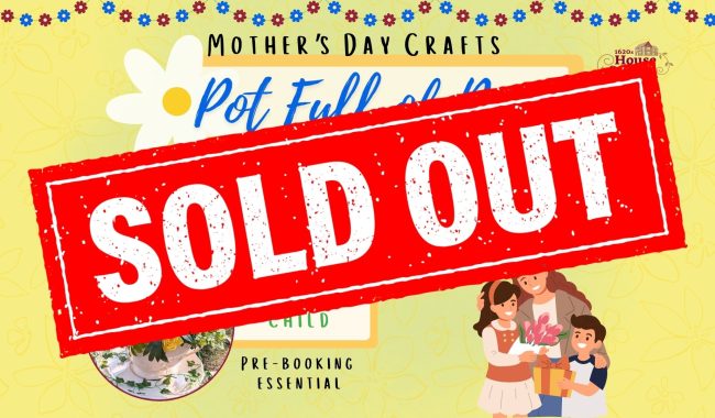 Pot Full Of Posies 2026 Fb Cover 1 Aspect Ratio 650 380